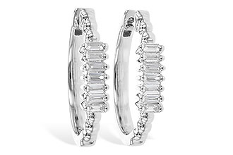 A300-86525: EARR .20 TW BAGUETTES