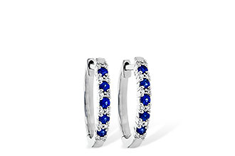 C218-12888: EARR .24 SAPP .30 TGW